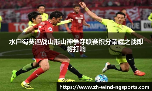 NG体育官网