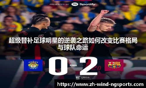NG体育官网