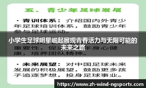 NG体育官网