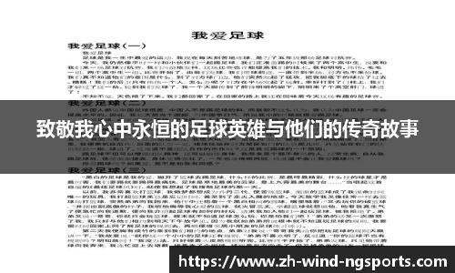 ng体育